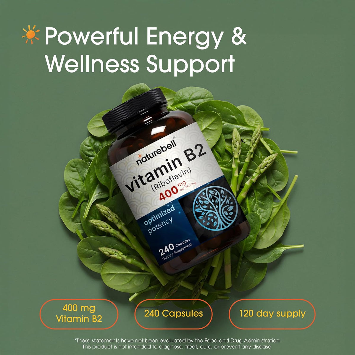 NatureBell Vitamin B2 (Riboflavin) 400mg - 240 Vegetarian Capsules - Energy & Cellular Health Supplement - görsel 2