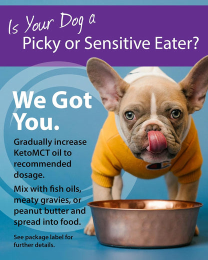 LifeSense C8 MCT Oil for Dogs | Sourced from Coconut Oil | Optimal Fuel for Your Dog’s Brain and Body | Human-Grade | Non-GMO | Keto-Friendly | Made in the USA by PhD Nutrition, 946 ml