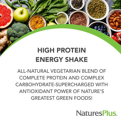 NaturesPlus FRUITEIN Revitalising Green Foods Shake – Plant-Based Protein & Superfood Mix, 590 g (16 Servings)