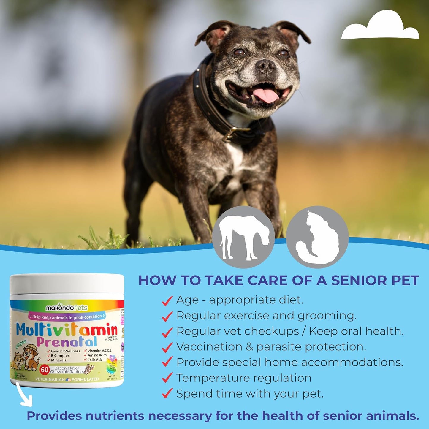 Dog Prenatal Vitamins – Multivitamin for Cats and Dogs with Folic Acid, Calcium, Iron, Minerals and Amino Acids - görsel 6
