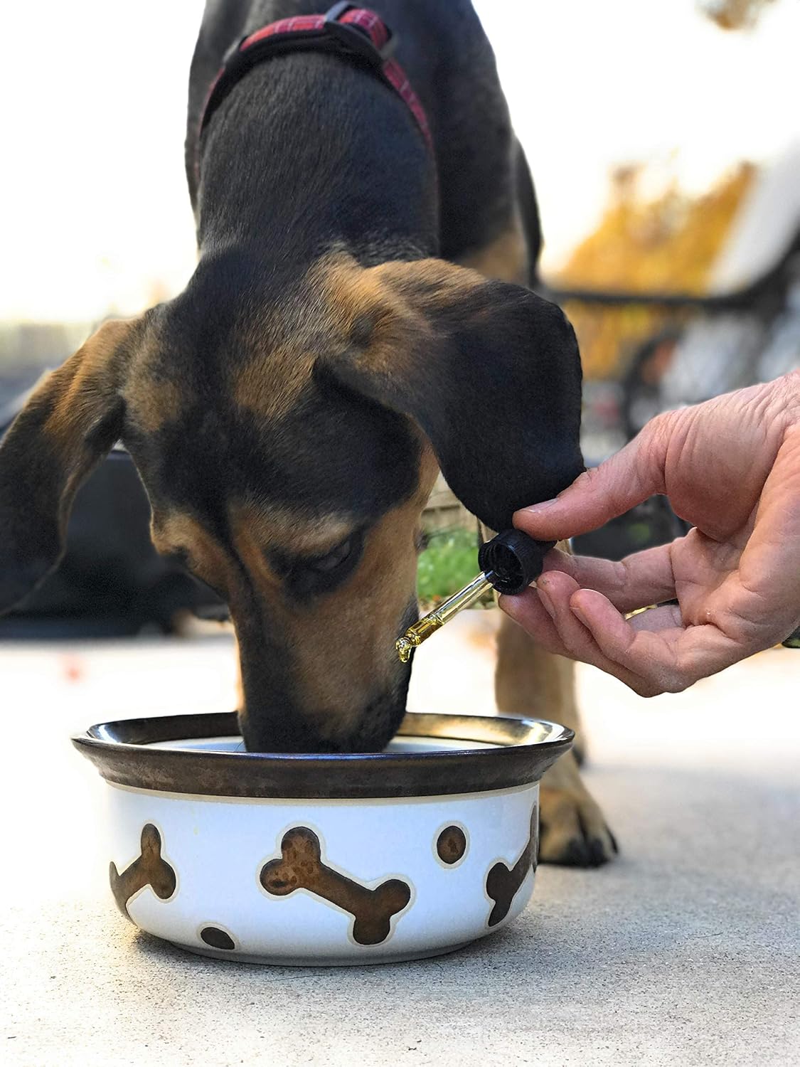 Homescape Pets Daily Thrive Hemp Oil & Turmeric for Cats and Dogs - görsel 4