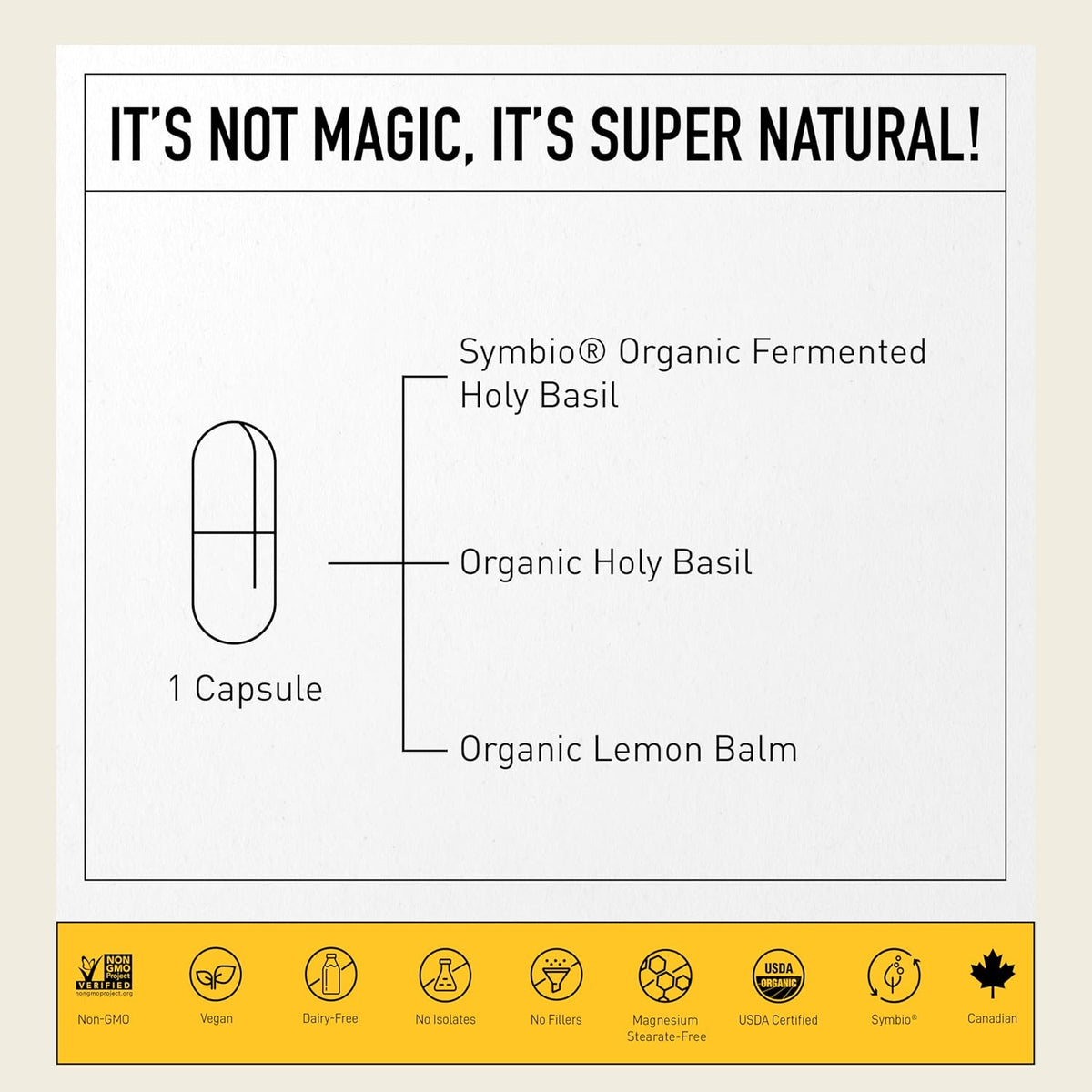 Living Alchemy Fermented Holy Basil with Lemon Balm - Vegan, Non-GMO - 60 Capsules - görsel 3