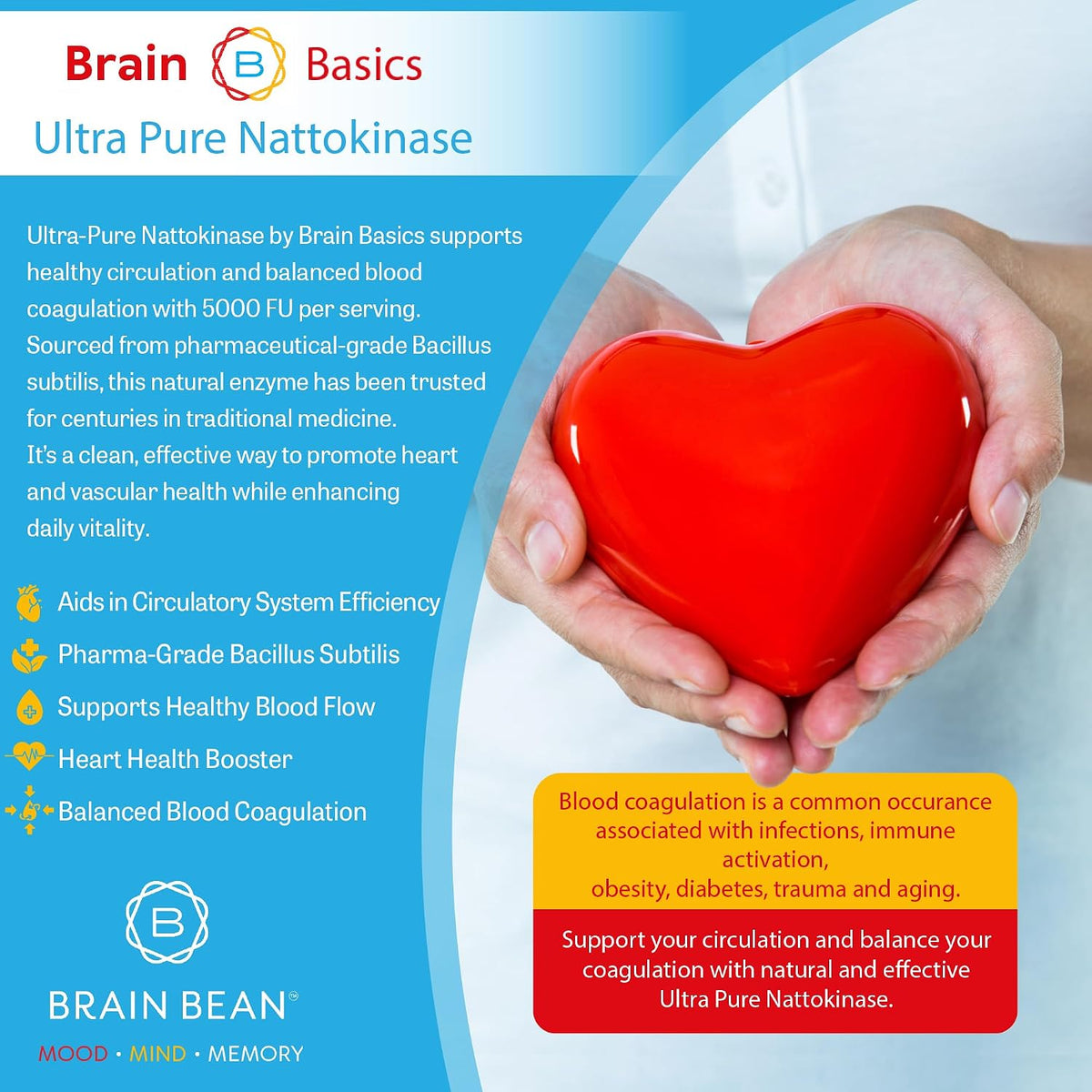 Brain Basic Ultra-Pure Nattokinase 5000 FU – 120 Capsules – Natural Circulation Support with Highest Potency Available – Non-GMO, Vegan, Gluten-free - görsel 3