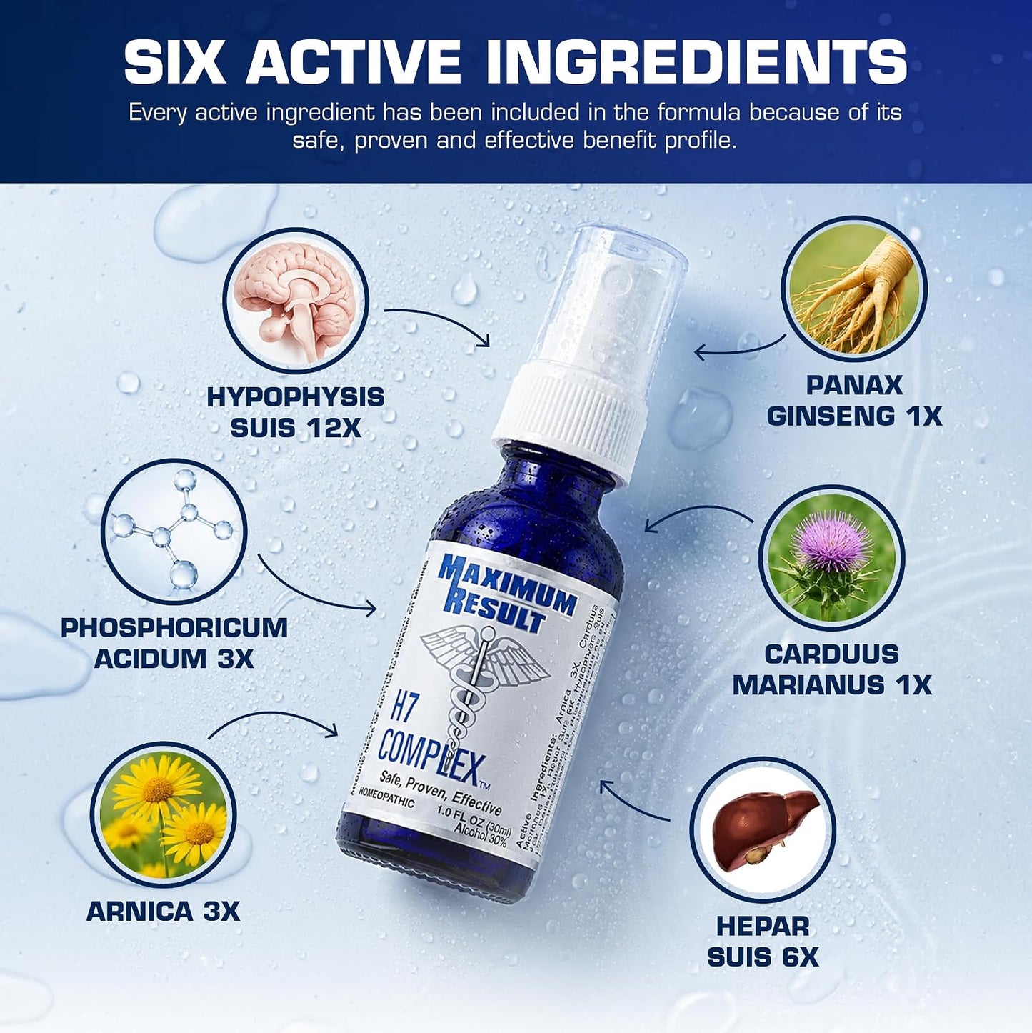 H7 Complex Homeopathic Sublingual Spray for Vitality – 3-Month Supply - görsel 5