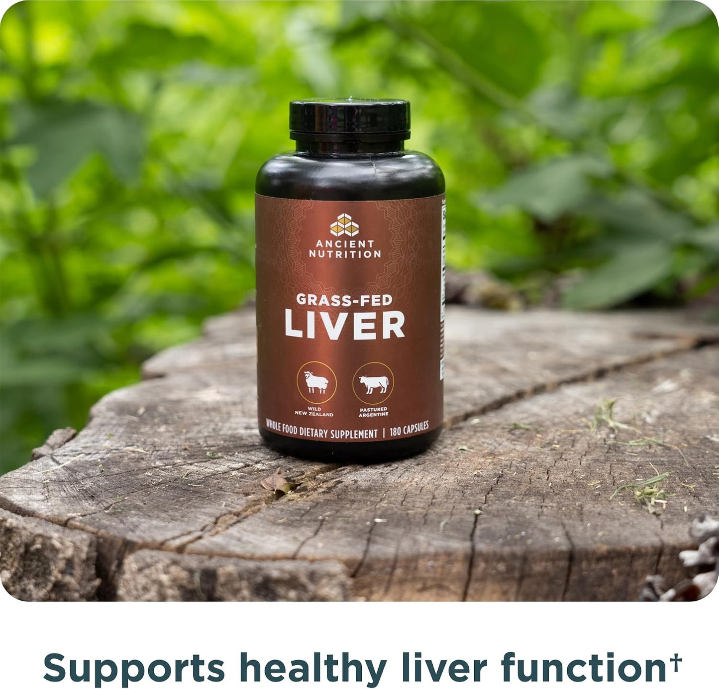 Ancient Nutrition Organ Supplements, Grass-Fed and Wild Organ Complex Capsules, Beef and Lamb Liver, 180 Capsules - görsel 5