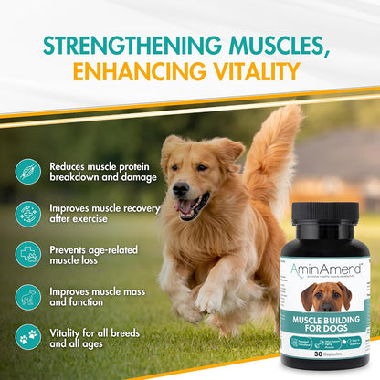AminAmend Dog Muscle Supplement for Large Breeds – CaHMB & Vitamin D3 (30 Capsules) – Image 2