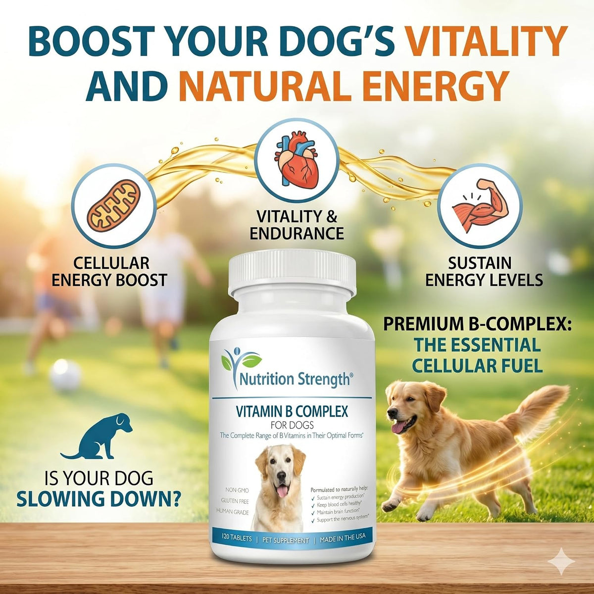 Nutrition Strength Vitamin B Complex for Dogs – for Blood Cell & Nervous System Support, 120 Chewable Tablets - görsel 4