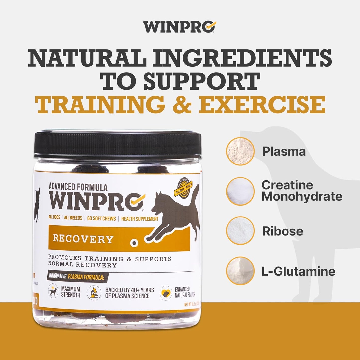 WINPRO Recovery Soft Chews for Dogs, Plasma-Powered Support for Healthy Inflammatory Response and Joint & Muscle Health, 60 Chews - görsel 3