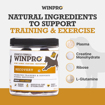 WINPRO Recovery Soft Chews for Dogs, Plasma-Powered Support for Healthy Inflammatory Response and Joint & Muscle Health, 60 Chews