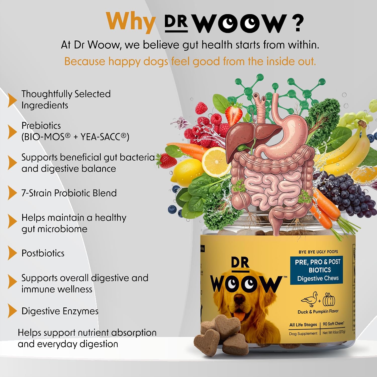 DR WOOW Probiotics for Dogs Soft Chews – Duck & Pumpkin Flavour (90 Count) - görsel 2