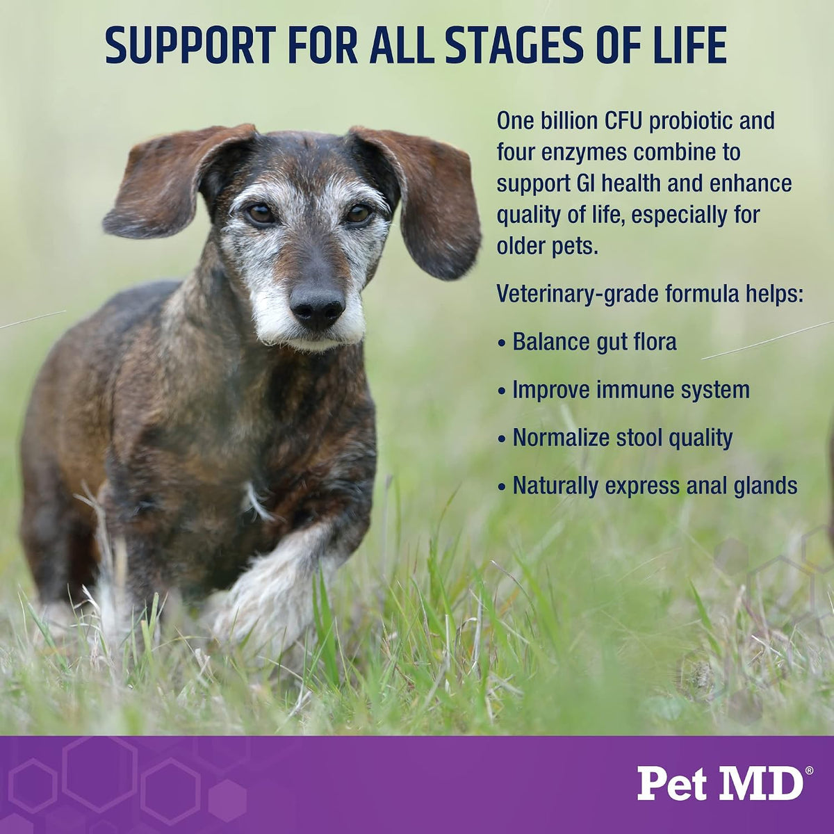 Pet MD Probiotics & Enzymes for Dogs - Gut Health Chews with Prebiotics - 60 Chews - görsel 3
