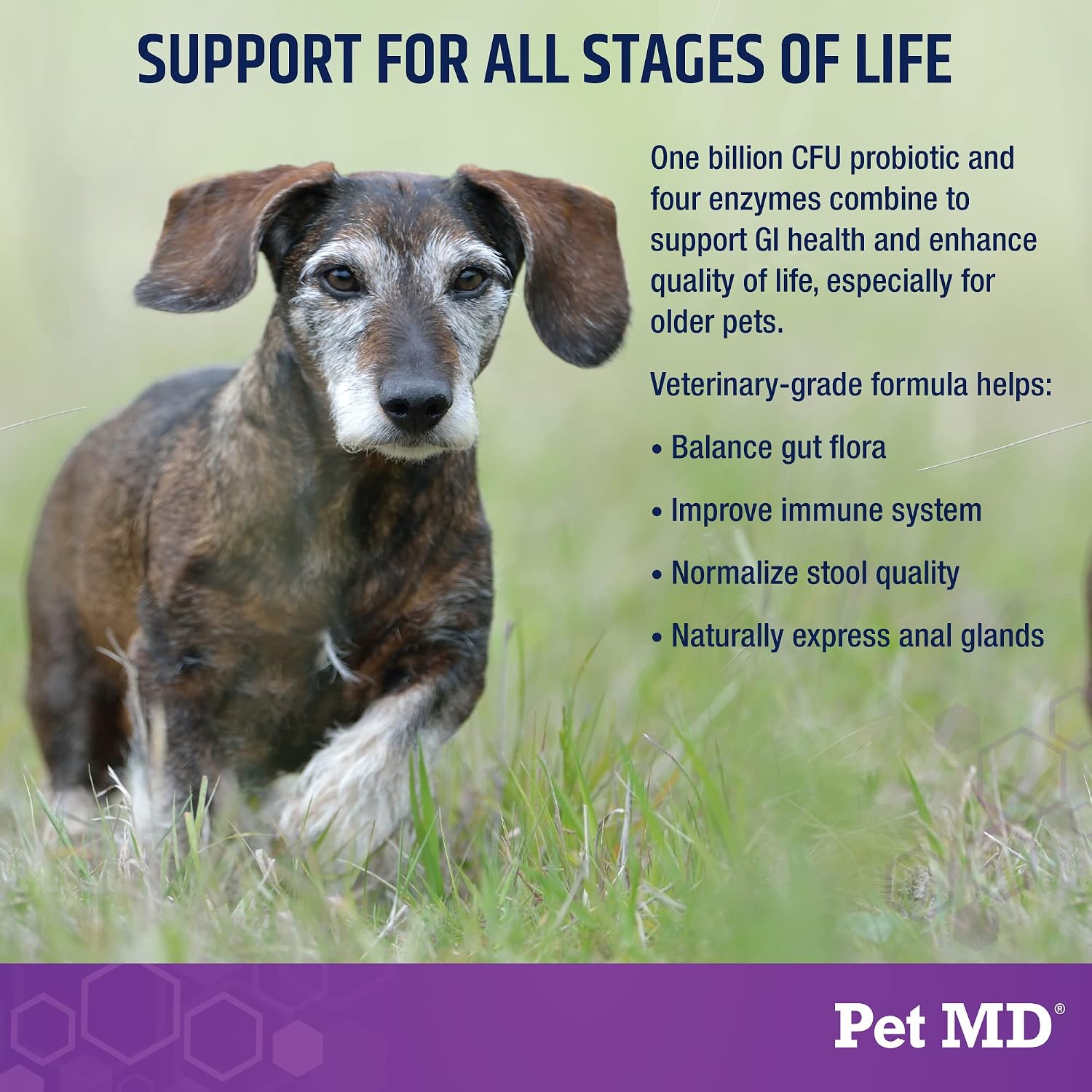Pet MD Probiotics & Enzymes for Dogs - Gut Health Chews with Prebiotics - 60 Chews - görsel 3