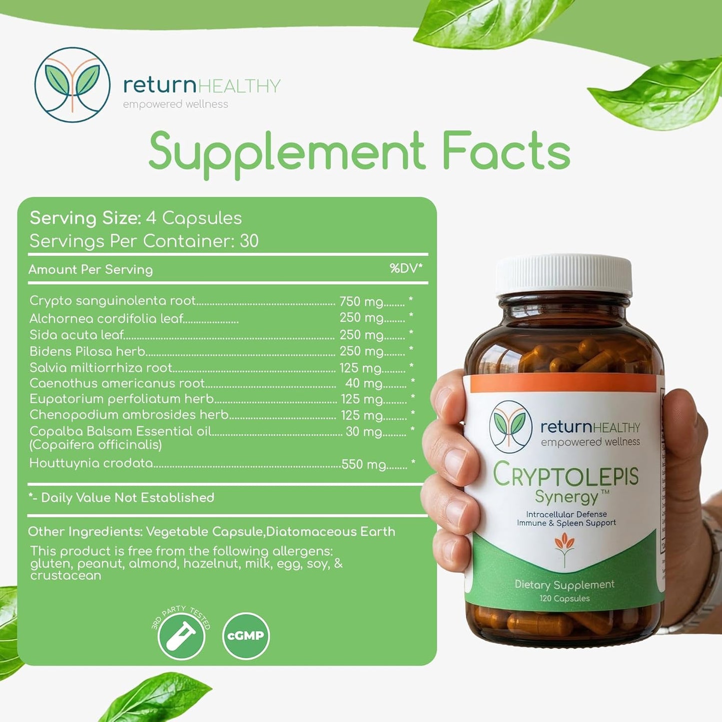 Cryptolepis Synergy – Immune Support Food Supplement, 120 Capsules - görsel 7