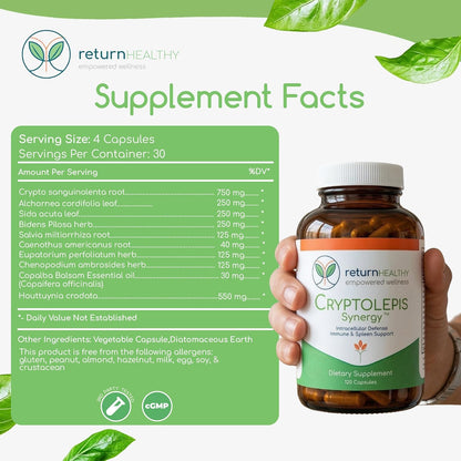 Cryptolepis Synergy – Immune Support Food Supplement, 120 Capsules