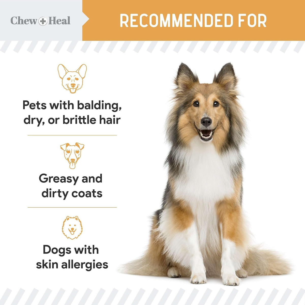 Salmon Oil for Dogs - 60 Soft Chew Omega Treats Skin and Coat Supplement for Dogs - Fish Oil Blend of Fatty Acids, Omega-3 and 6, Vitamins, Antioxidants, Minerals - Made in the USA - görsel 4