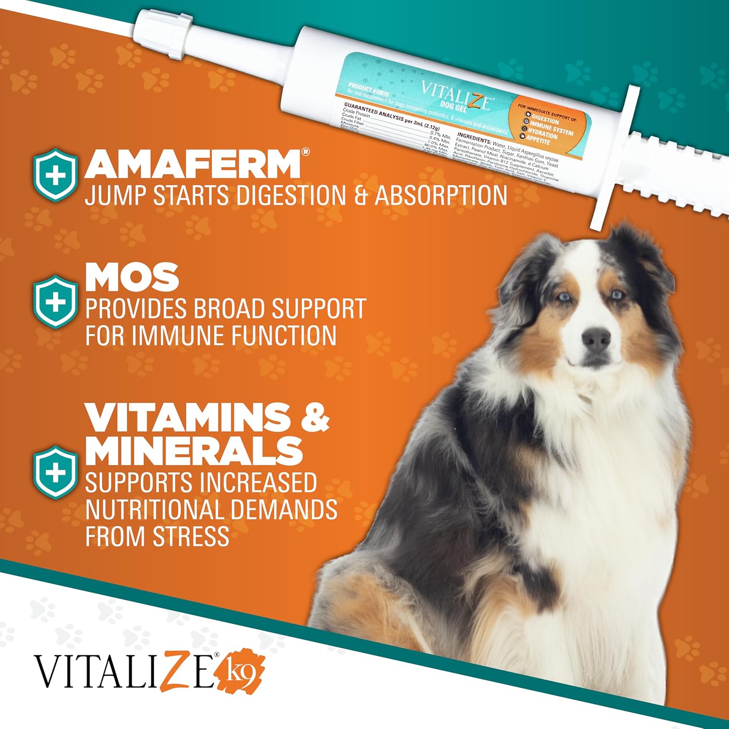 Vitalize Dog Gel - Surgery Recovery & Immune Support for Small Dogs - Peanut Butter Flavour (15 ml) - görsel 4