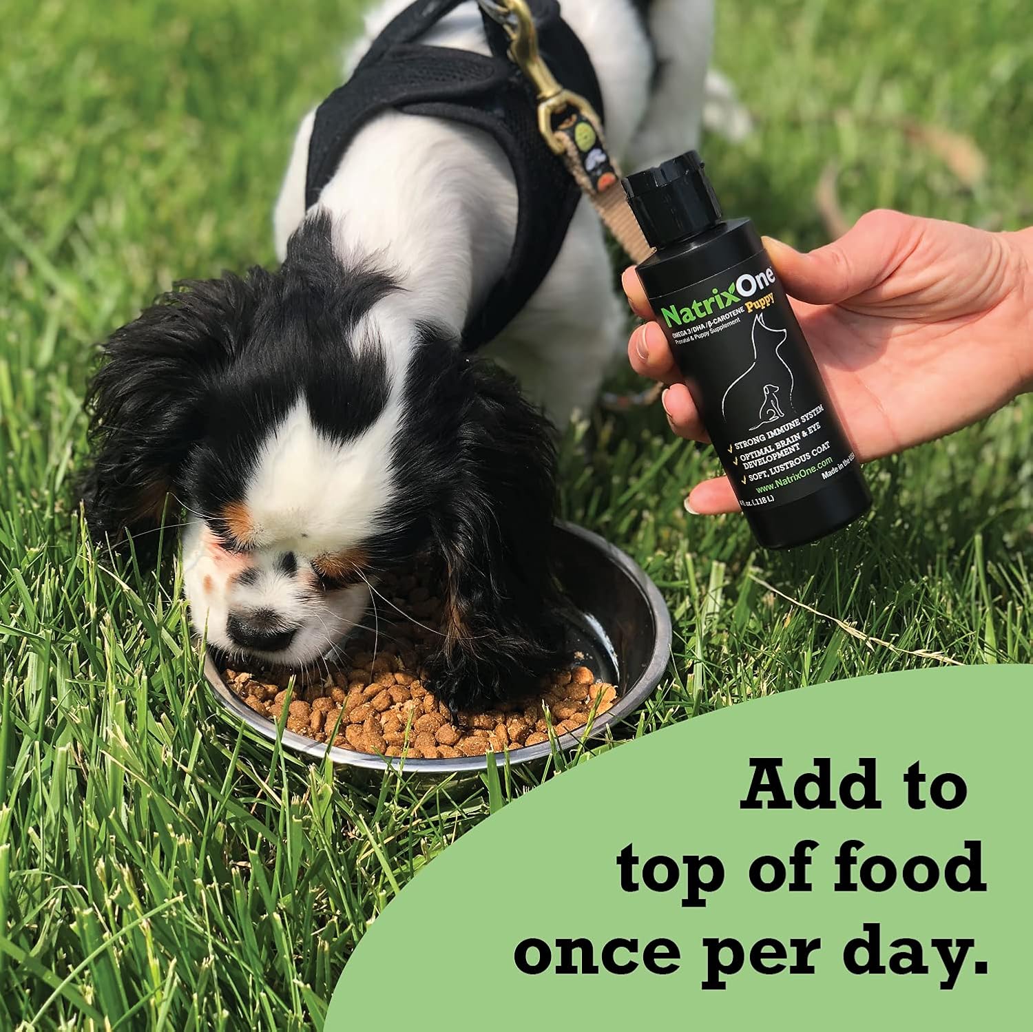 NatrixOne 100% Pure Camelina Oil for Puppies, 236 ml - görsel 5