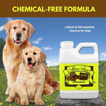 Goodscious Flea Free Food Supplement – Natural Flea & Tick Defence for Dogs and Cats (454 g)