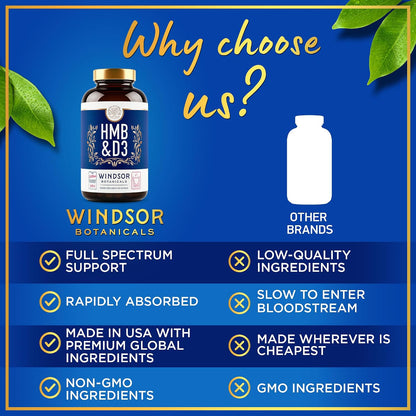 WINDSOR BOTANICALS HMB and Vitamin D3 Supplement – Muscle Growth & Recovery – 360 Capsules