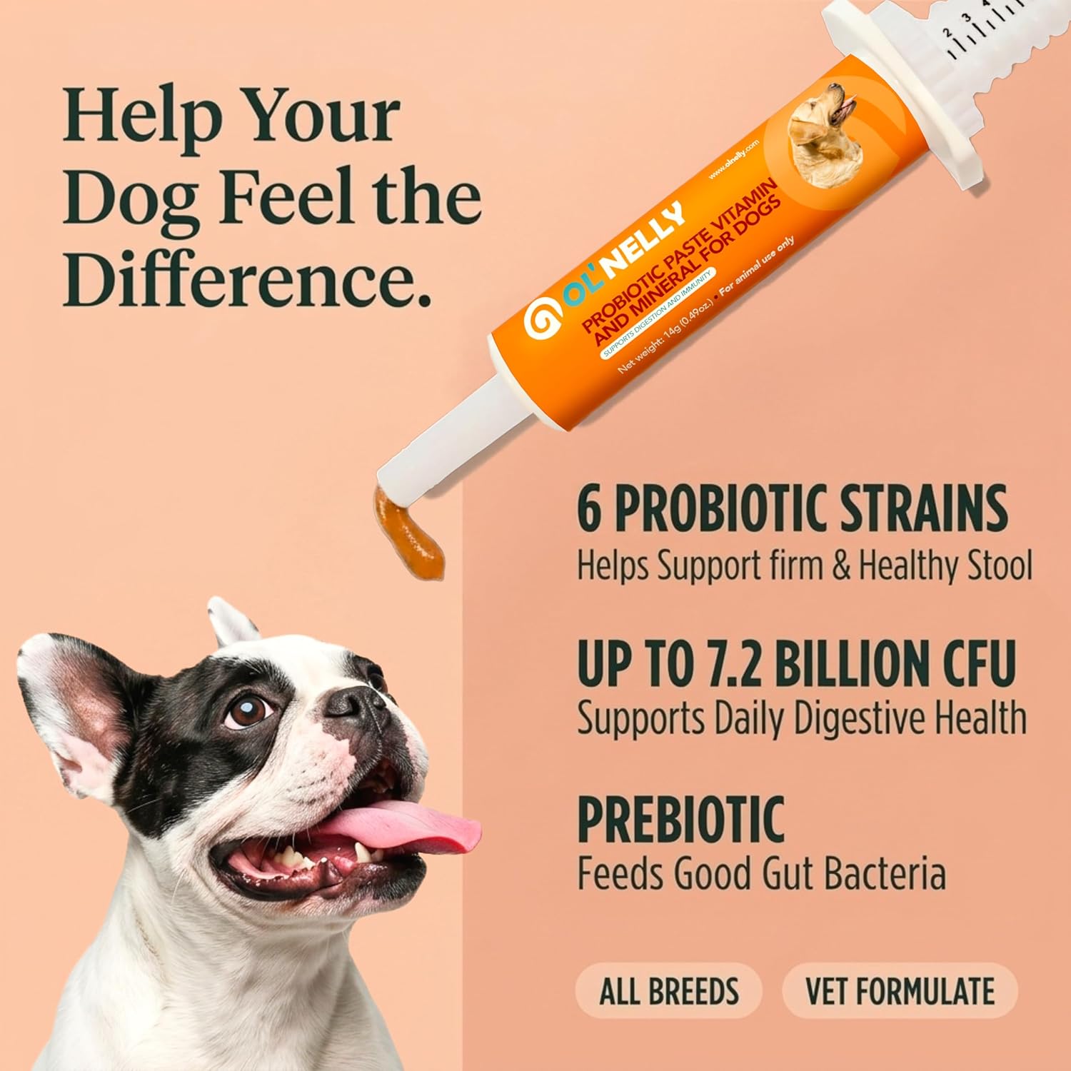 OL’ NELLY Dog Probiotic Paste for Dogs and Cats, 7.2 Billion CFU, Supports Digestive Health with 6-Strain Probiotics + Prebiotic, 14g - görsel 3