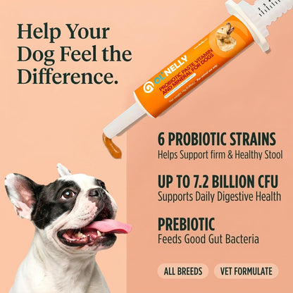 OL’ NELLY Dog Probiotic Paste for Dogs and Cats, 7.2 Billion CFU, Supports Digestive Health with 6-Strain Probiotics + Prebiotic, 14g