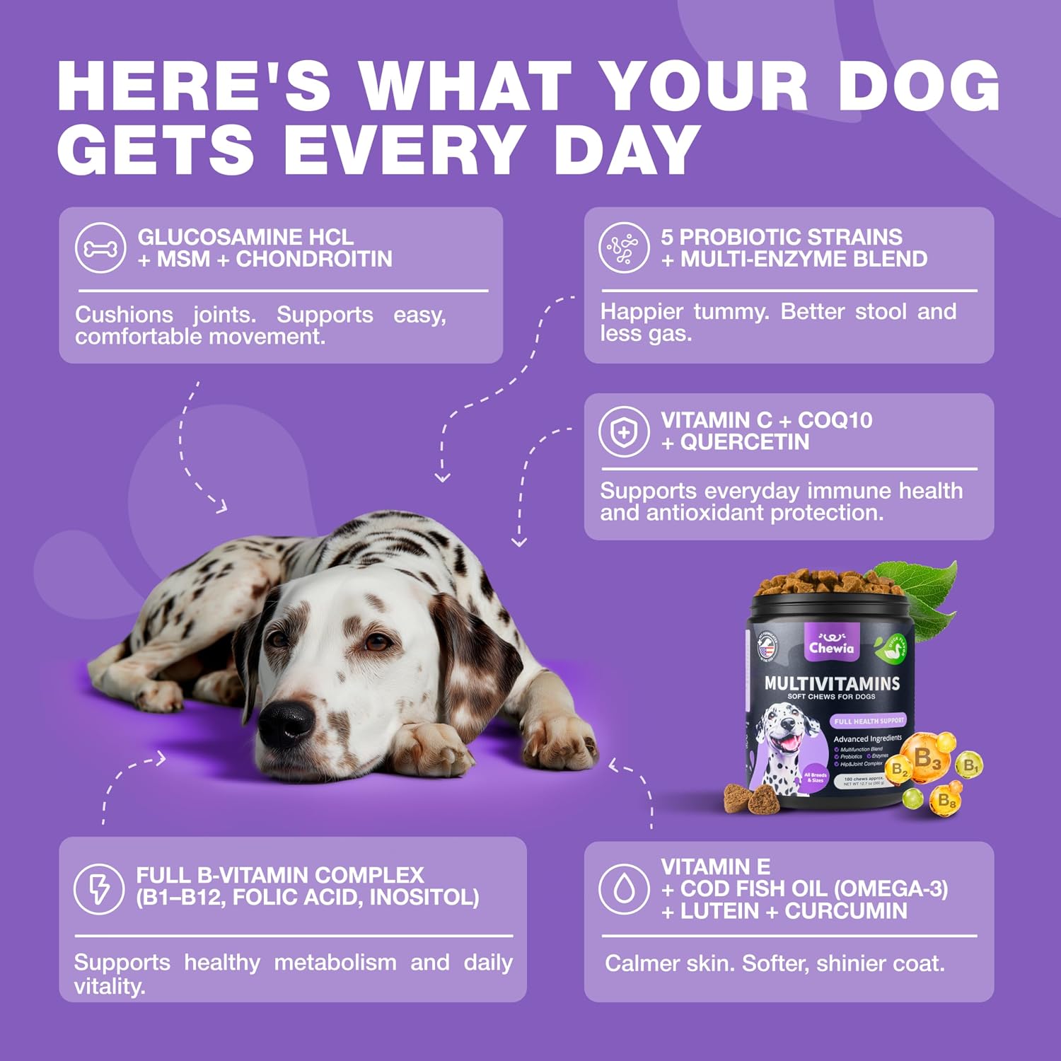 CHEWIA Dog Vitamins 15 in 1 - Multivitamin Chews with MSM for Joint Health, Skin & Coat, Itchy Skin Support, and Immune Support - görsel 4