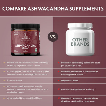 TRIBE ORGANICS Ashwagandha KSM-66 – 600mg Organic Root Extract, 120 Capsules