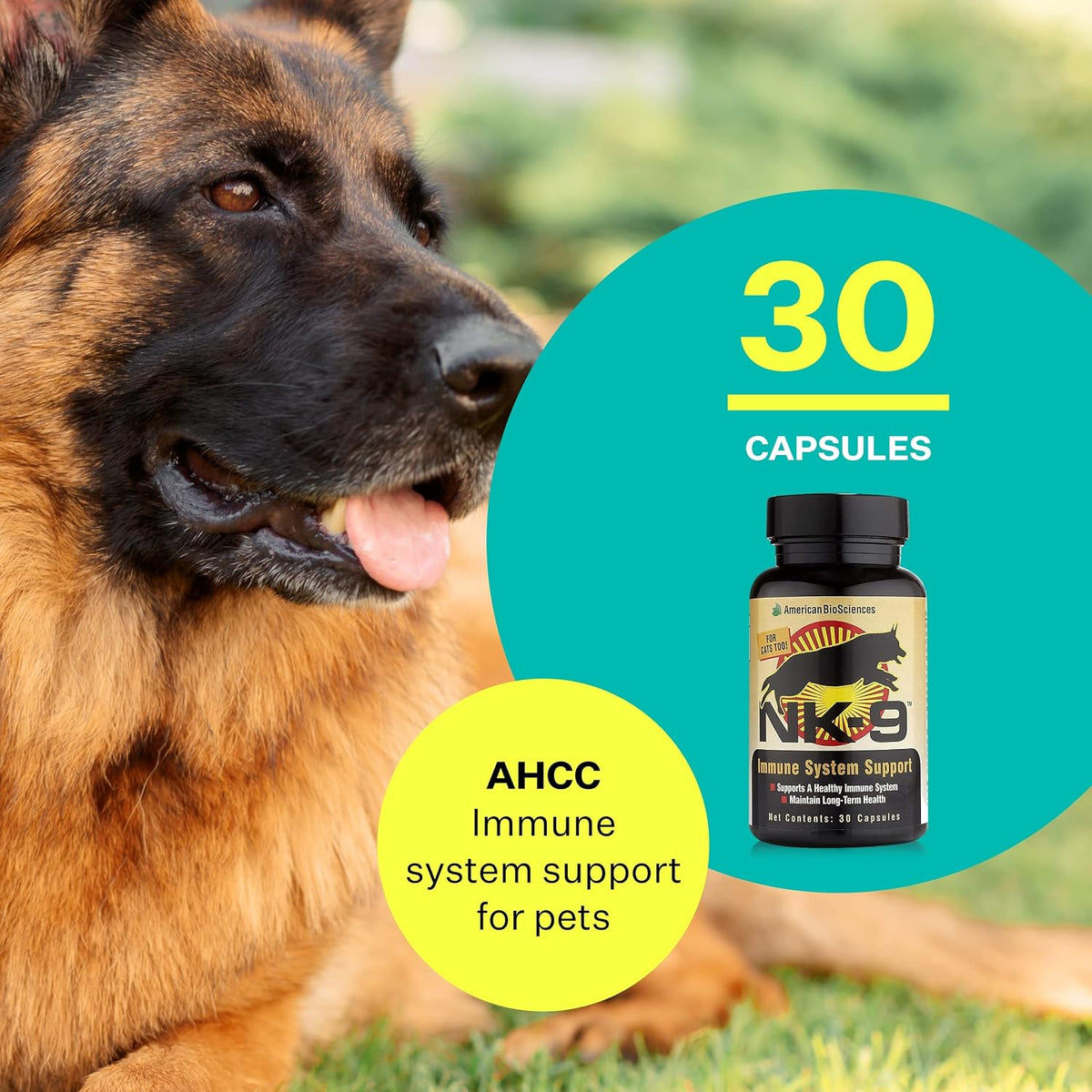 American BioSciences NK-9 AHCC Food Supplement for Dogs and Cats – Immune Support – 30 Capsules - görsel 3