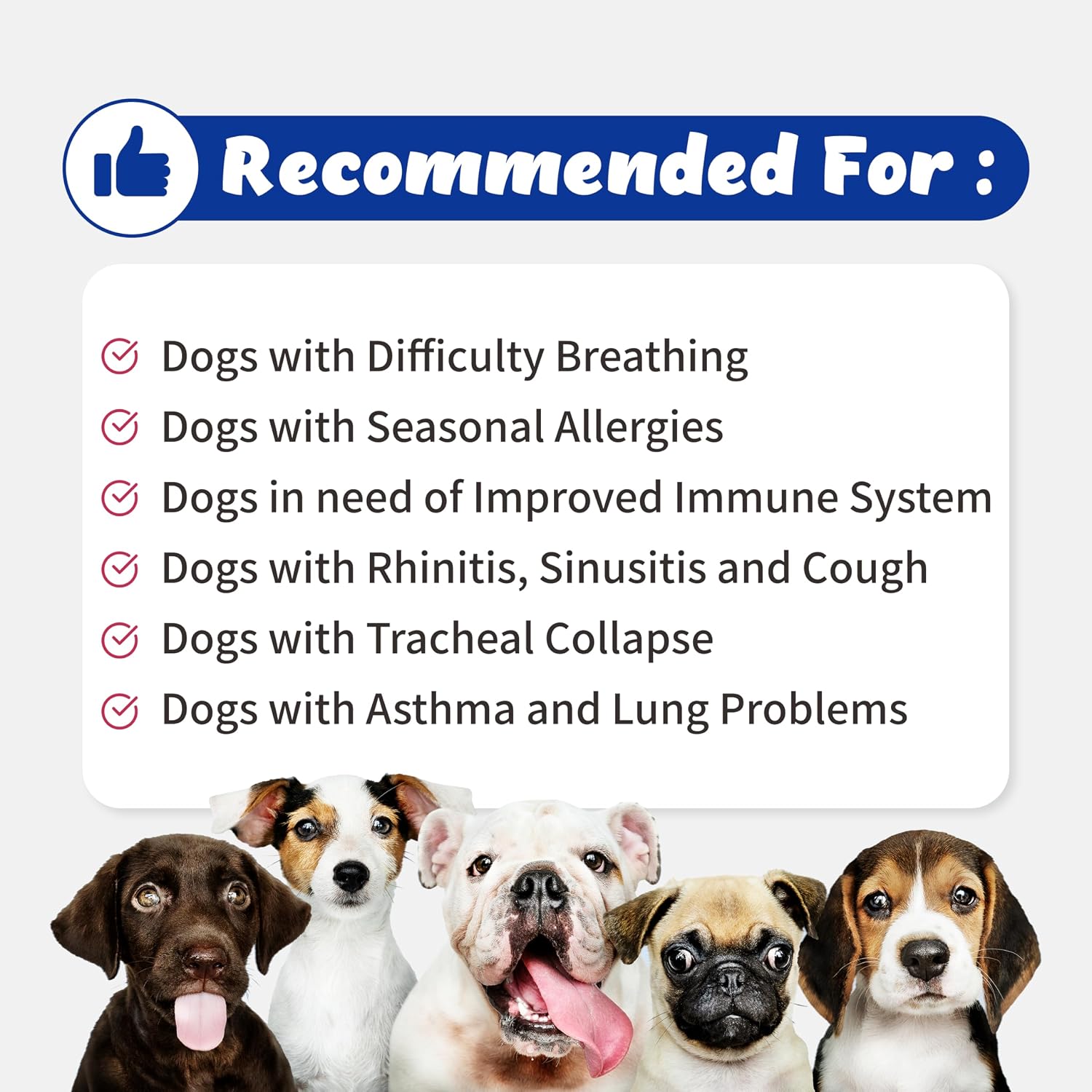 Branvine Respiratory Guardian for Dogs - Supports Lung, Nasal, Bronchial & Tracheal Health (135g) - görsel 3