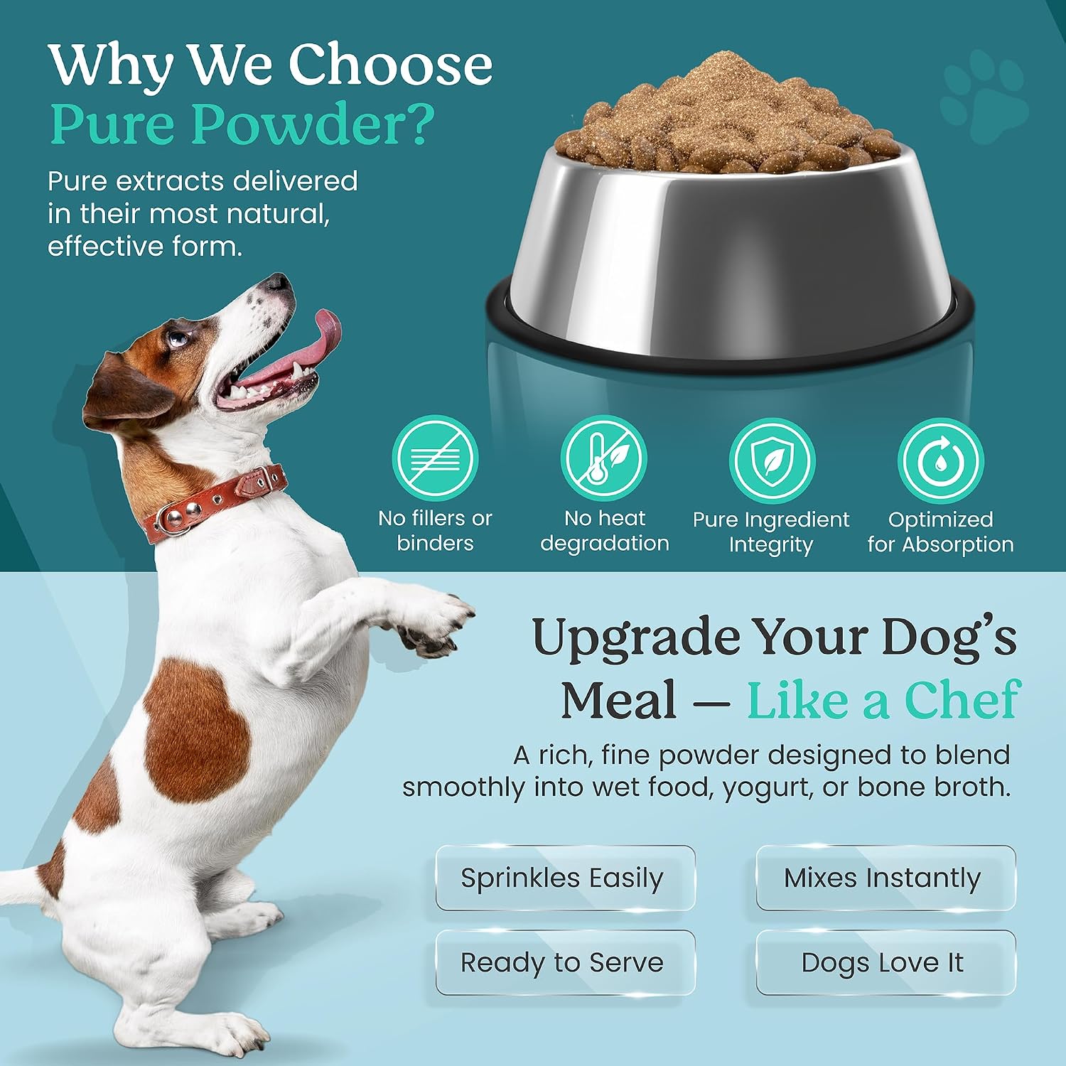 Doggie Herbs Turkey Tail Mushroom Extract for Dogs – 55% Beta-Glucans – Immune Support – 100g - görsel 4