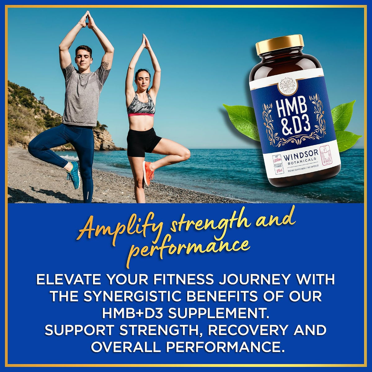 WINDSOR BOTANICALS HMB and Vitamin D3 Supplement – Muscle Growth & Recovery – 360 Capsules - görsel 4