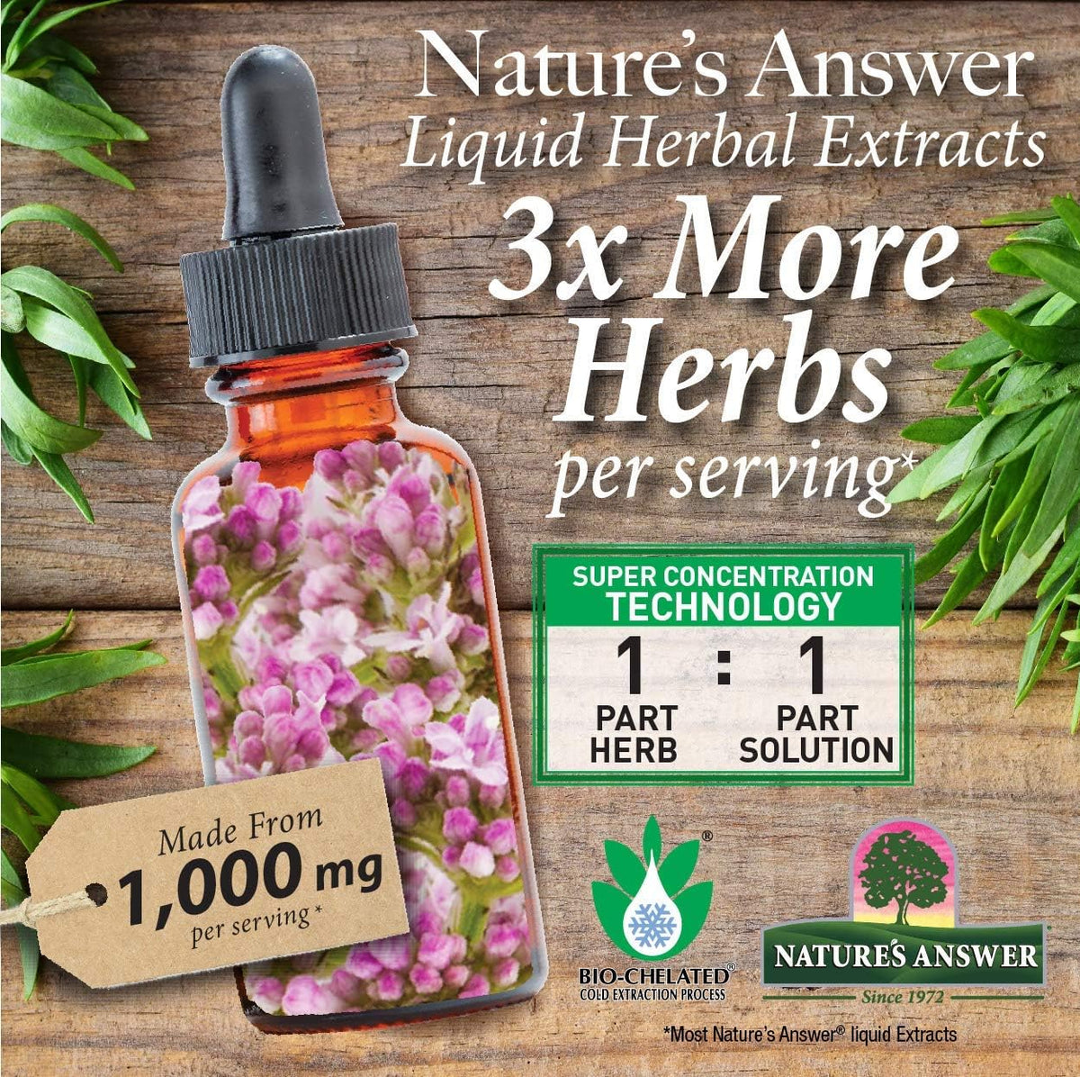 Nature's Answer Schisandra Berry Extract - Alcohol-Free, Gluten-Free Stress and Fatigue Support - görsel 6