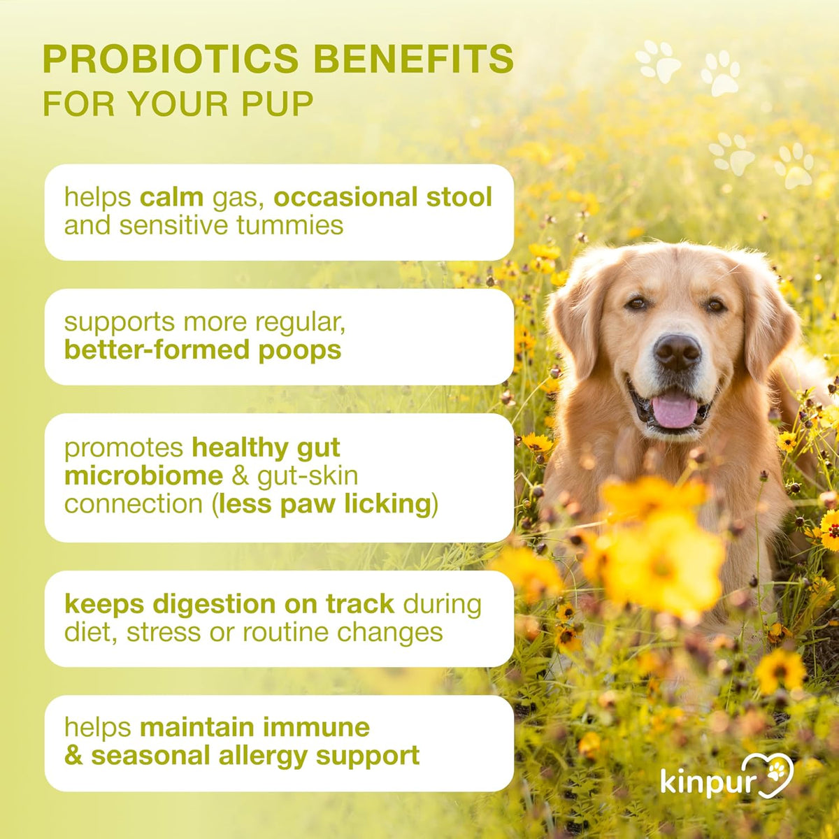 Dog Probiotics Chews – 4 Billion CFU, 6 Strains + Colostrum & Digestive Enzymes – Duck Flavour – 120 Chews - görsel 5