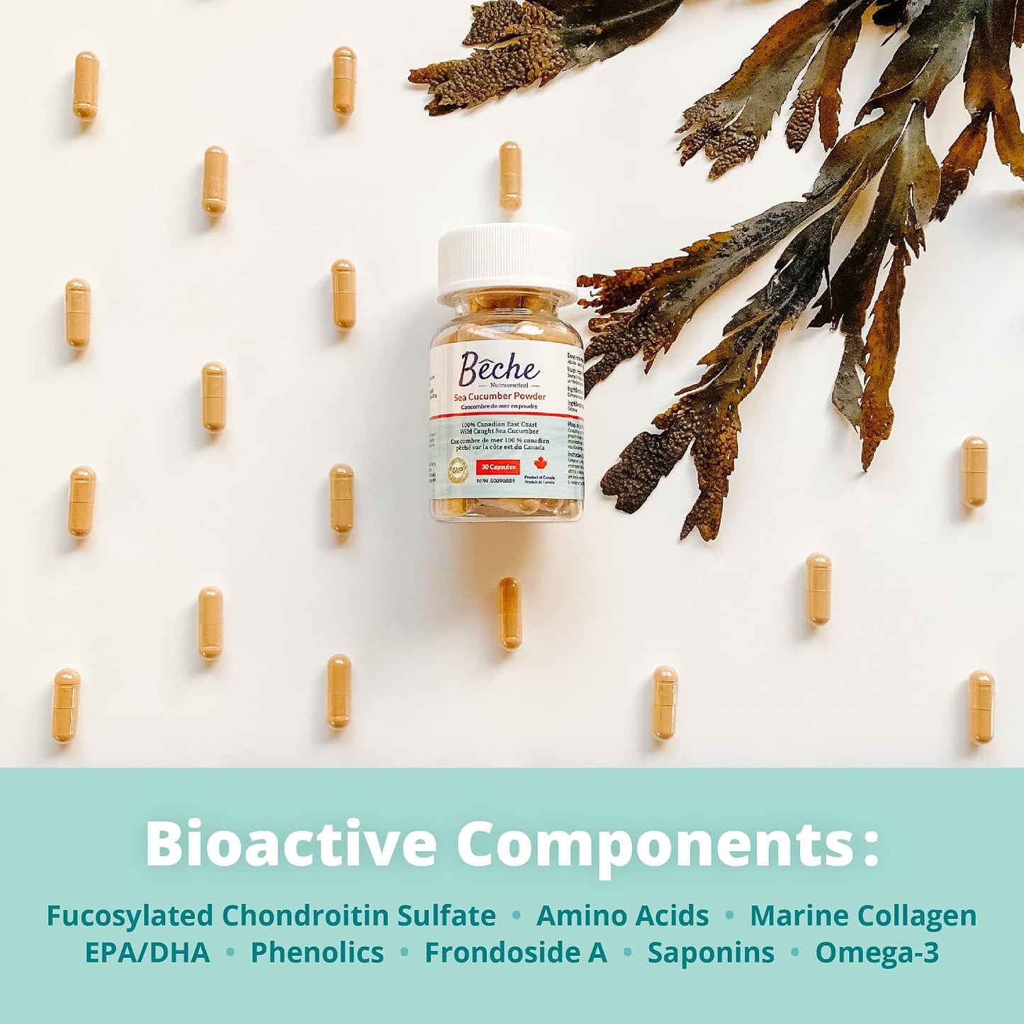 100% Sea Cucumber Powder Capsules, 30 Capsules - görsel 4