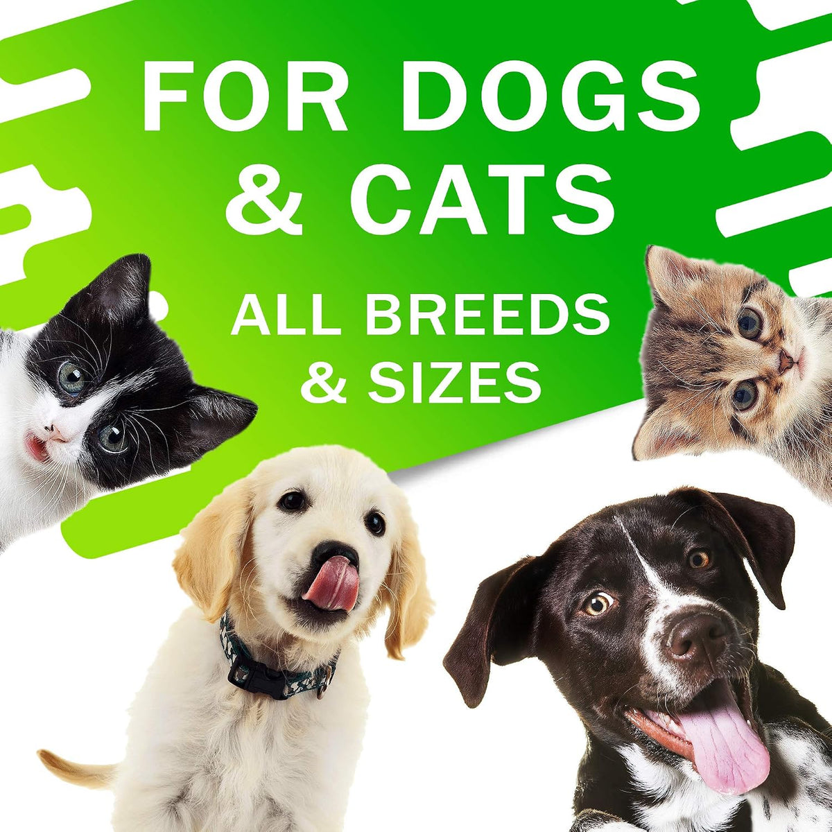 FurFinds Kennel Cough Drops for Dogs and Cats - 60 ml Liquid Herbal Supplement - görsel 4