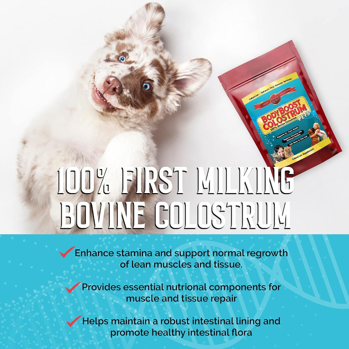 BodyBoost Bovine Colostrum Powder for Dogs – Immune Support: Immunoglobulins help neutralise pathogens and – Image 5