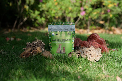 Mushroom Complex for Dogs and Cats – 25%+ Beta Glucans – Fruiting Body Extract Blend (Turkey Tail, Reishi, Maitake, Shiitake) – Immune and Gut Support – No Mycelium, No Fillers – 250 Servings