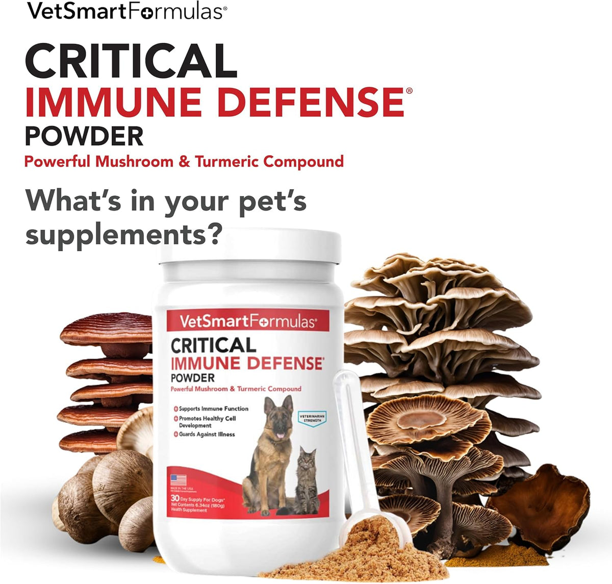 Critical Immune Defence for Dogs & Cats - Mushroom Supplement with Turkey Tail, Reishi, Shiitake, Maitake and White Turmeric - görsel 2