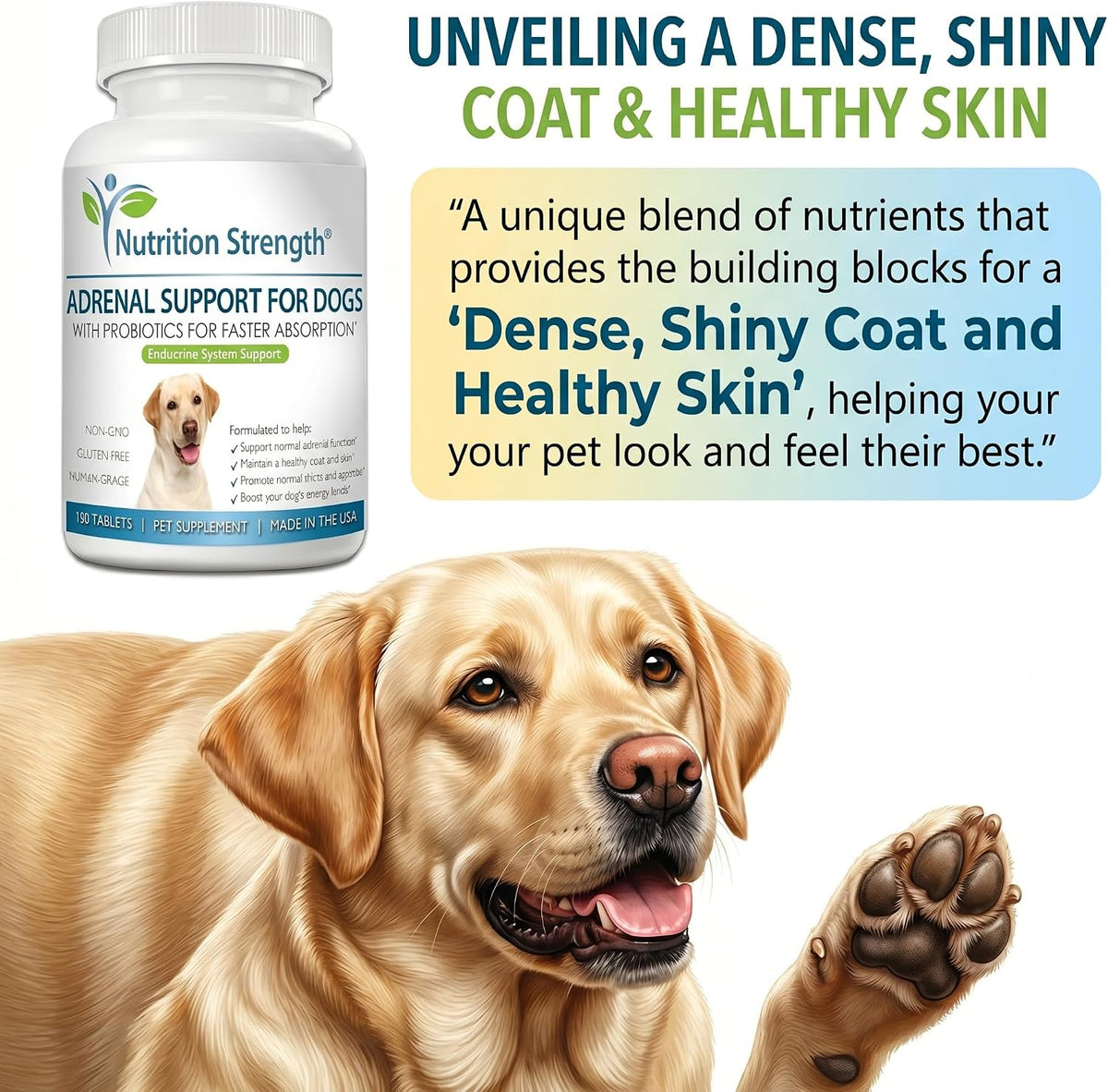 Adrenal Support for Dogs with Cushing's Disease - 120 Herbal Chewable Tablets - görsel 3