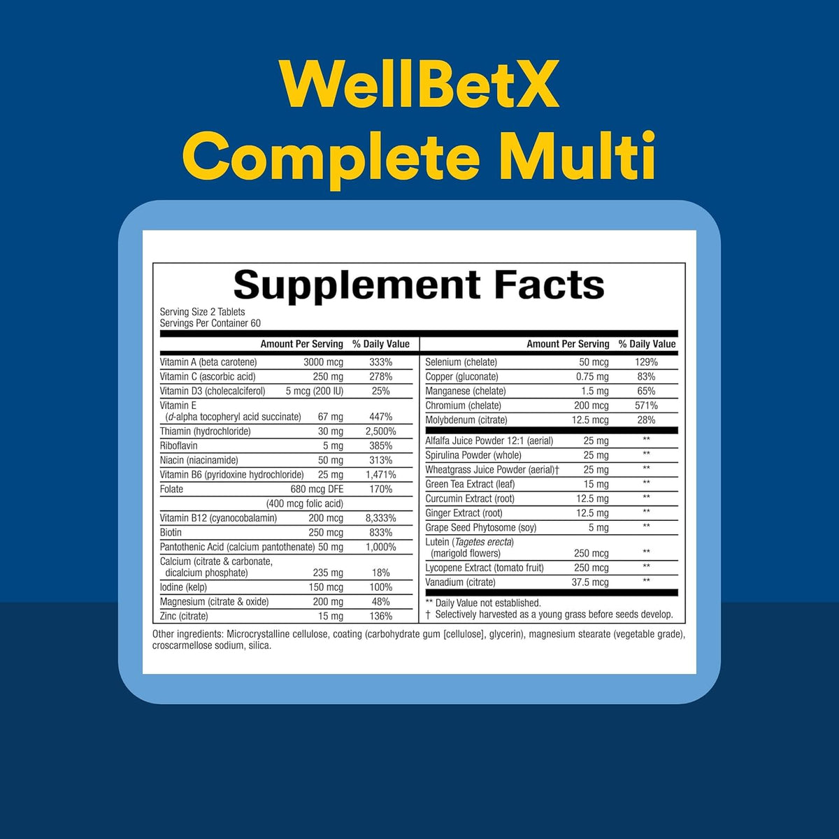 WellBetX Complete Multi – 120 Tablets by Natural Factors - görsel 4
