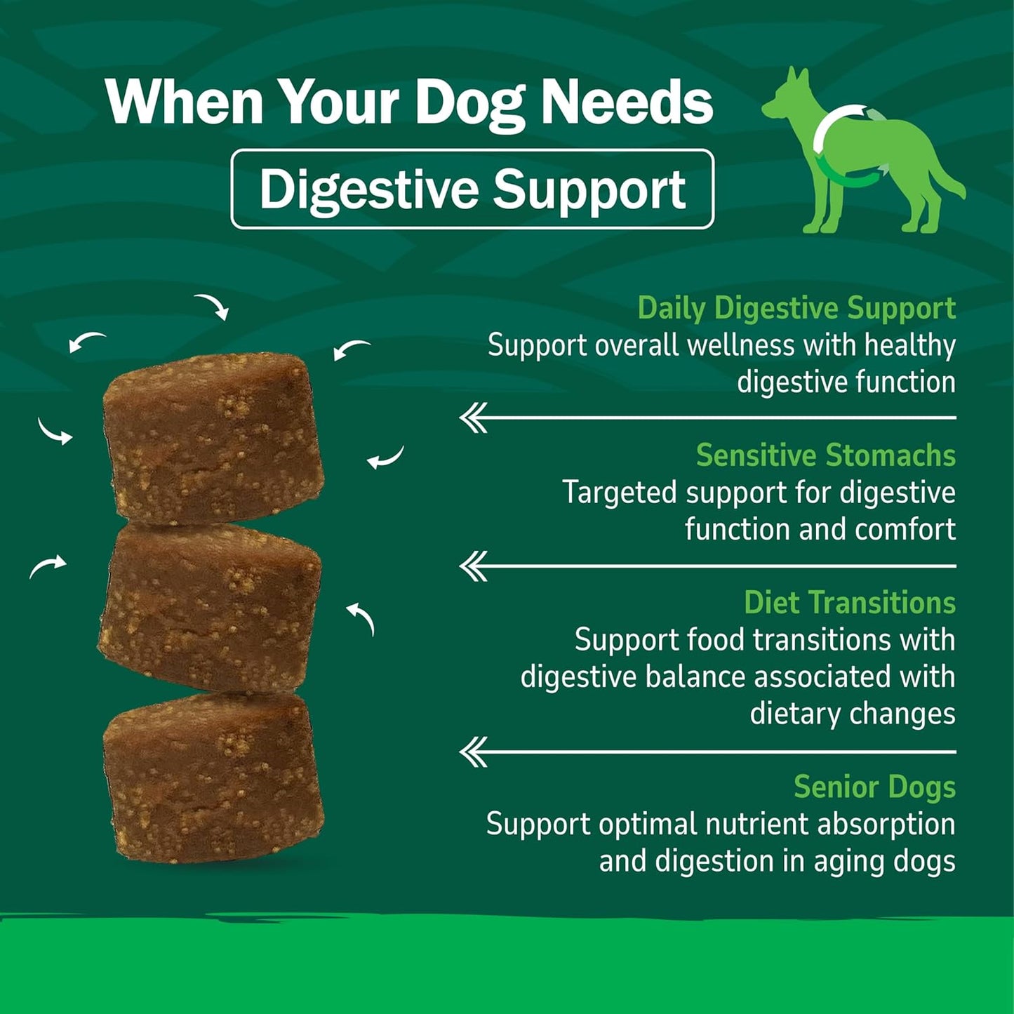 PetNC Natural Care Pre & Probiotic Soft Chews for Dogs - Liver Flavour, 120 Count - görsel 4