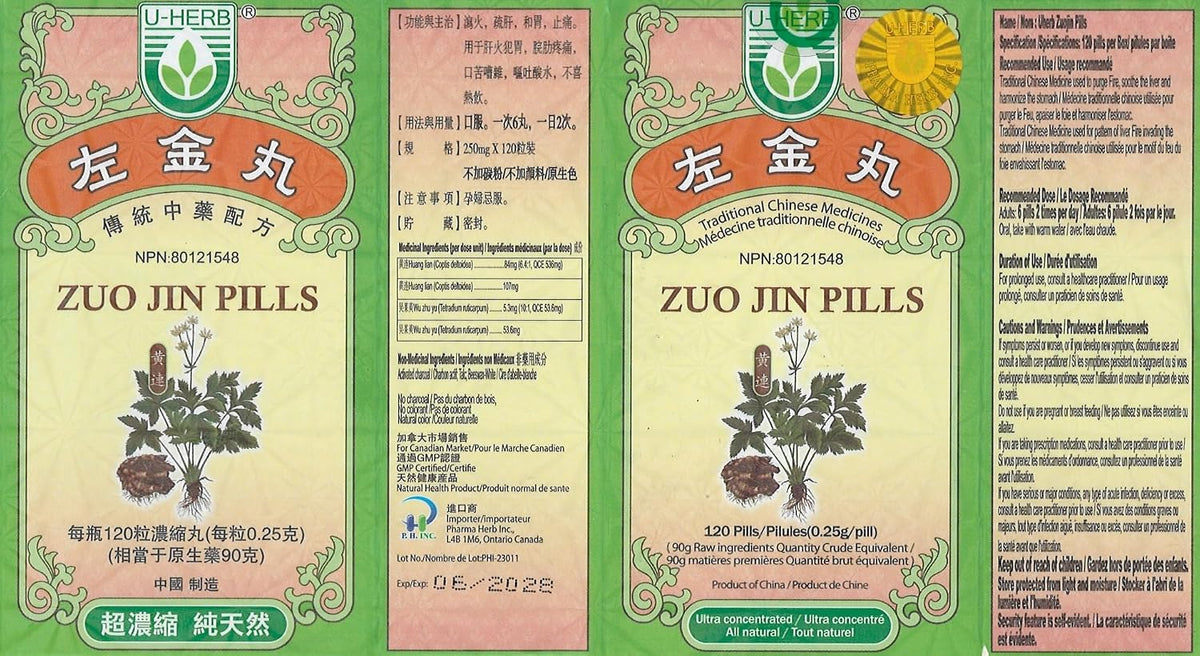 Zuo Jin Wan - görsel 3