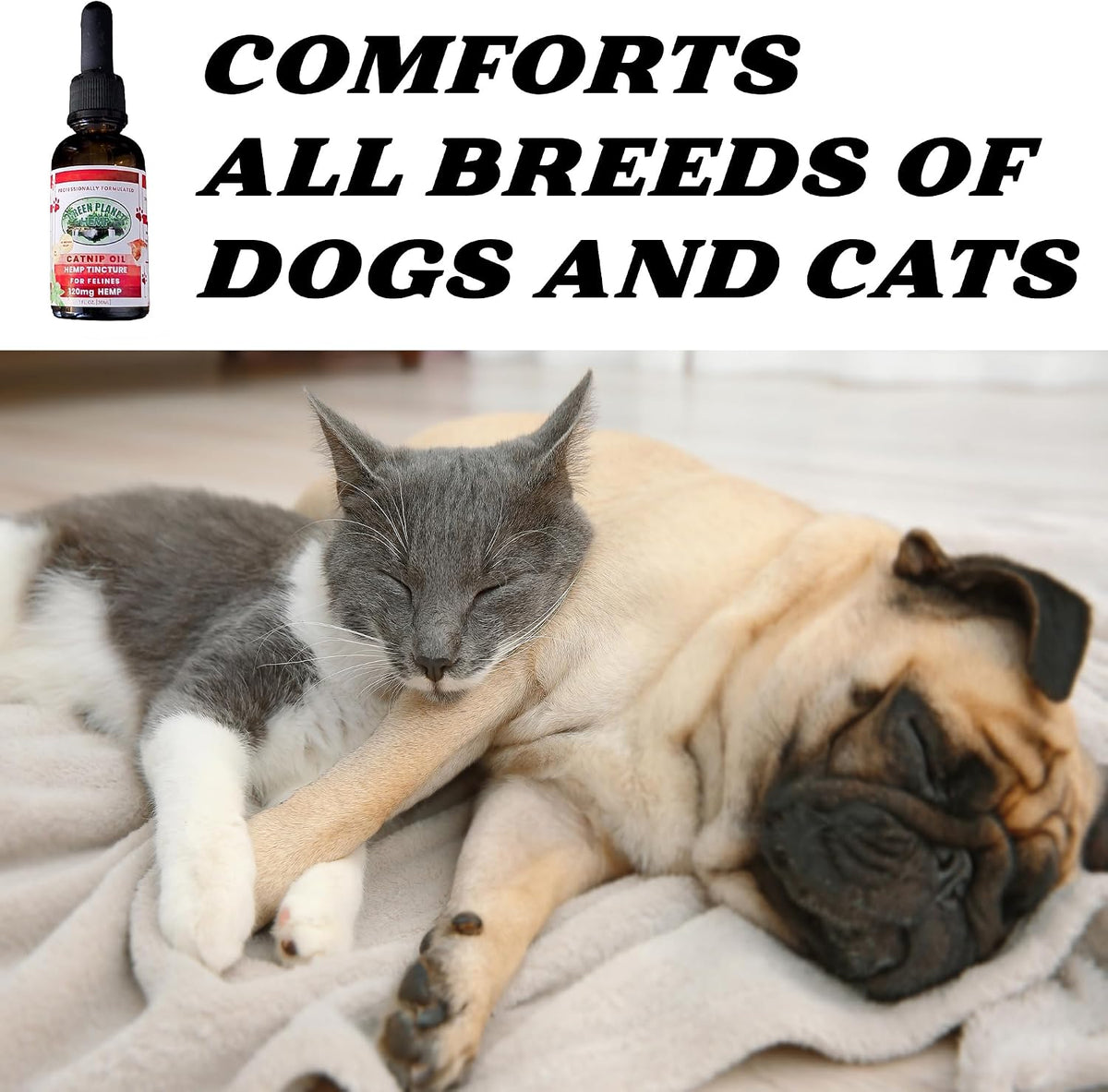 Pet Hemp Oil with Catnip – Organic Hemp Tincture for Dogs and Cats - görsel 3