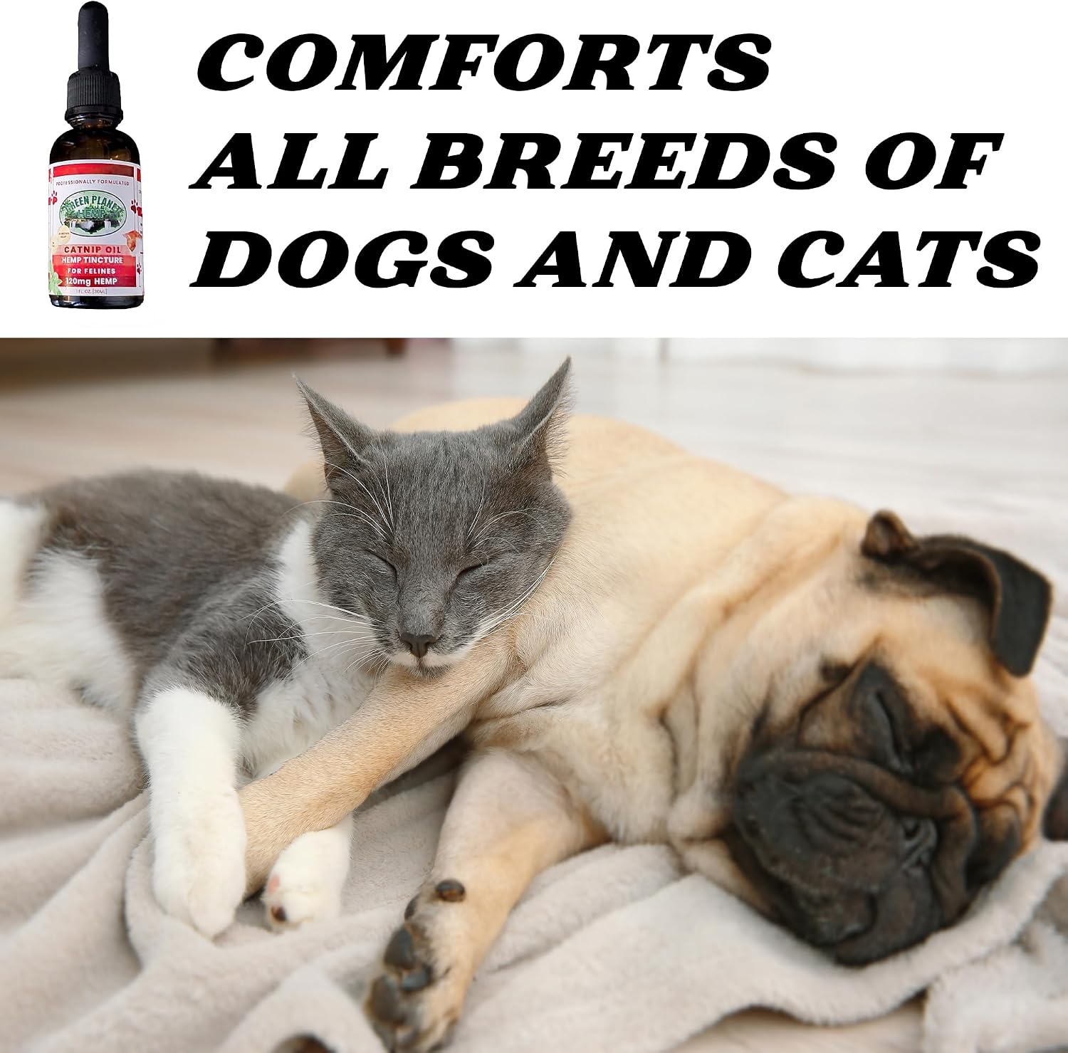 Pet Hemp Oil with Catnip – Organic Hemp Tincture for Dogs and Cats - görsel 3