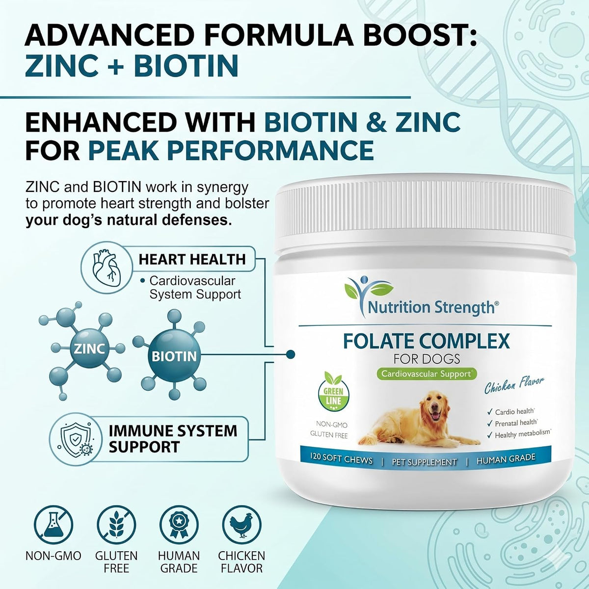 Nutrition Strength Folate for Dogs – Cardiovascular & Prenatal Support, DNA Synthesis, with Zinc, Biotin, Iron & Vitamin B12, 120 Soft Chews - görsel 4