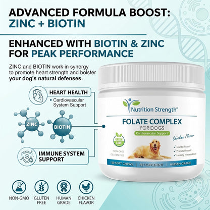 Nutrition Strength Folate for Dogs – Cardiovascular & Prenatal Support, DNA Synthesis, with Zinc, Biotin, Iron & Vitamin B12, 120 Soft Chews