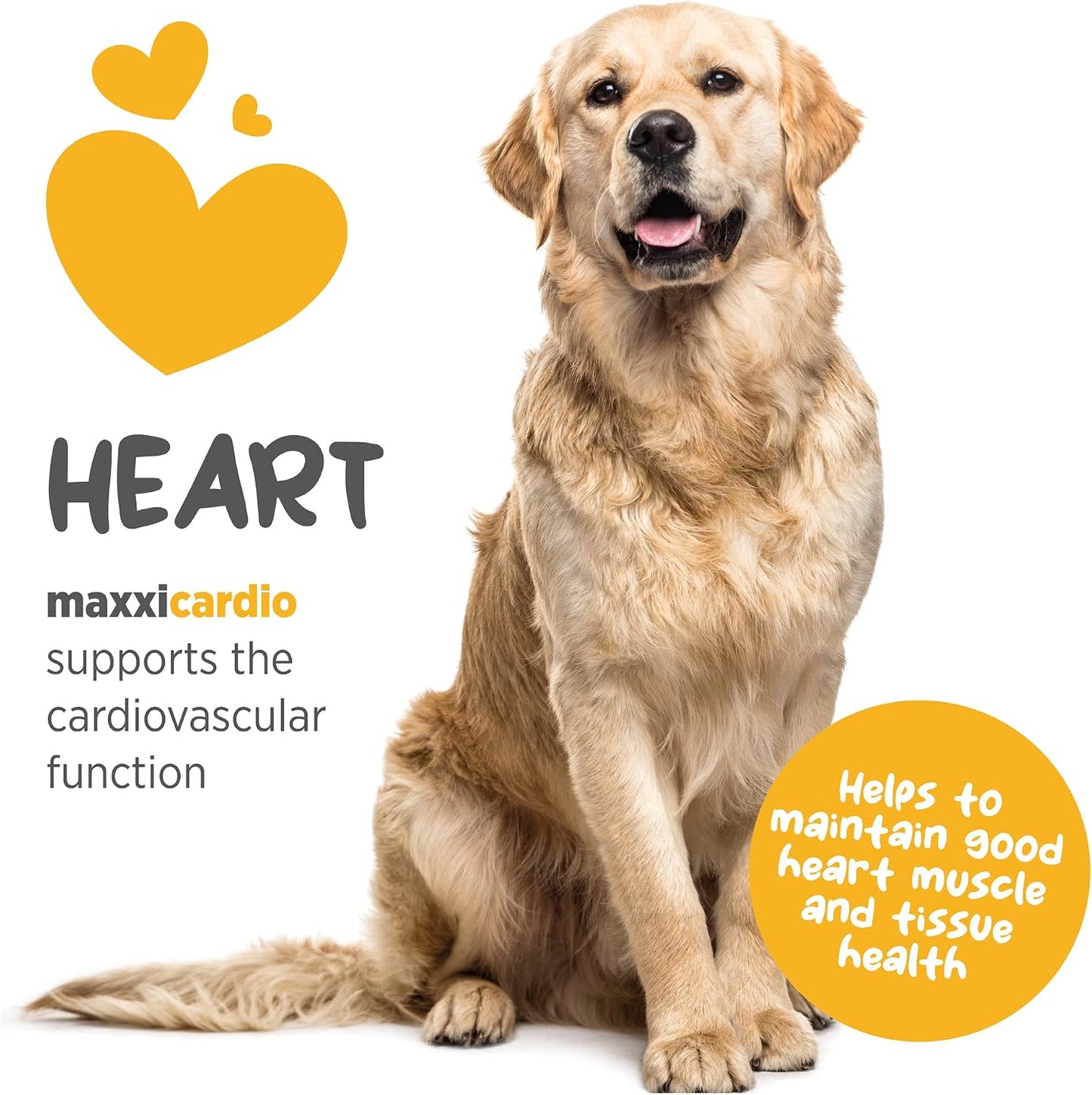 maxxicardio Heart Support for Dogs (Small Size) – Taurine + L-Carnitine + Hawthorn + Ginkgo – Helps Support Circulation, Energy & Stamina – Easy Mix Powder – Made in USA – 90g - görsel 3