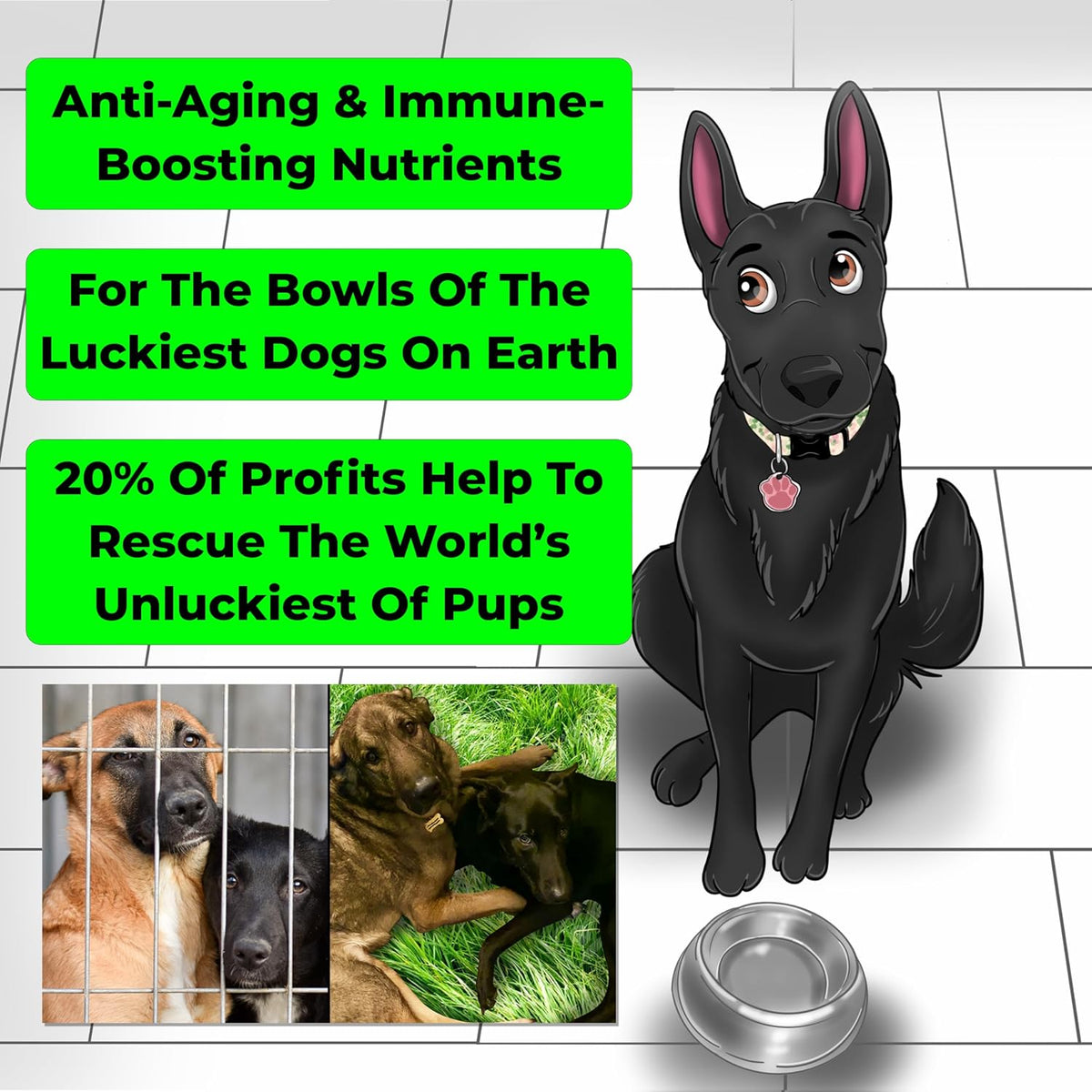 More Dog Days Anti-Ageing & Immune Support | Organic, Human-Grade Ingredients | Medicinal Plants & Mushroom Extracts | Omega 3s, Antioxidants, Probiotics, Vitamins & Minerals | Plant-Based & Vegan - görsel 2