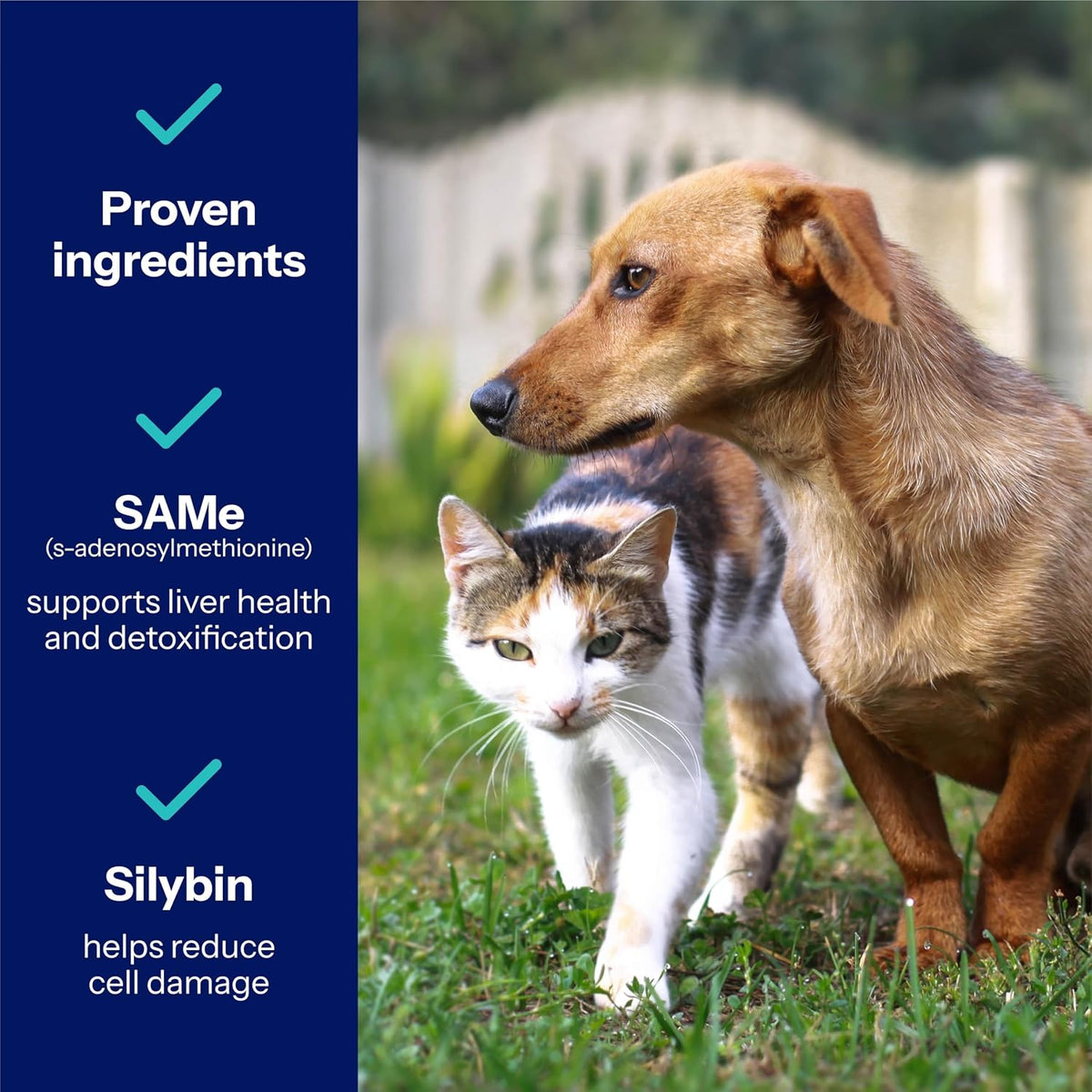 Same Pro Liver Support for Medium Dogs, 225mg, Green, 6-15 kg - görsel 4