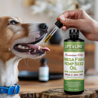 Lifeline Premium Pet Hemp Oil for Dogs & – Calming Support: Hemp seed oil contains compounds that may help soothe – Image 7